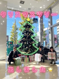 クリスマスツリー出しました✨